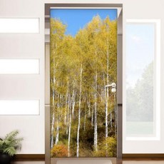 아트박스/꾸밈 fh223-현관문시트지_우뚝솟은자작나무숲