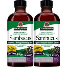 네이처스앤서 고흡수 삼부커스 12000mg 액상 액체, 120ml, 2개