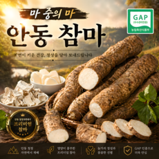 [우수관리인증] 안동 마 참마 (산약마) (산지직송), 1개, 참마 실속형 5kg
