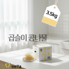 [신선한줌] 곱슬이 콩나물//신선도100% 산지직송 아삭함유지 콩나물무침 비빔밥 볶음용, 1개, 3.5kg