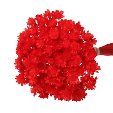 로맨틱노벰버 프리저브드 스타플라워, 레드 150송이