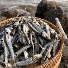 바다어보 통영 햇 다시멸치(특가형) / 남해안 국물용멸치 육수멸치 국멸치, 1.5kg, 1개