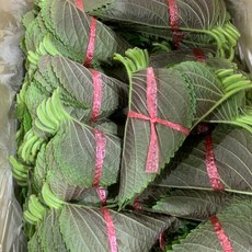 깻잎 국내산 쌈채소 신선깻잎 요리재료 향긋한 채소 300g, 1개, 1g