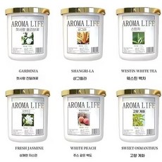 아로마 라이프 고체형 방향제 화장실 실내 탈취 장기지속 아로마 향기, 아로마테라피 6가지 향을 각각 한 병씩
