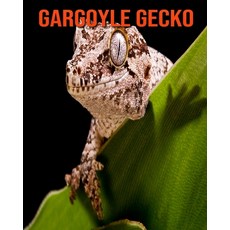 Gargoyle Gecko: Fun Facts & Cool Pictures Paperback, Independently Published, English, 9798564336635
