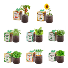 아이데이 실내 식물 키우기 재배 키트 방울 토마토 고수 바질 루꼴라 레몬밤 당근 파슬리 해바라기 세트, 08미니당근