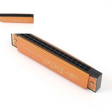 십땨 16홀 하모니카 골드 전문가용하모니카 유아악기 하모니카학원