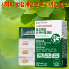 [상상건몰 ] 두뇌 혈행건강 개선 면역기능 도움 은행잎추출물 나이아신 아연 네이그랜드 프리미엄 징코 앤 메모리, 1박스, 30회분