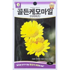 골든케모마일 1g 다농 26년 허브씨앗