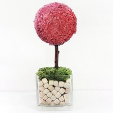 편백모스트리 순록이끼나무 핸드메이드 스칸디아모스, 씨클라멘, 1개