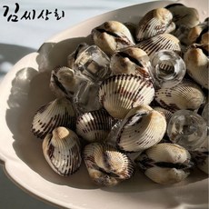 국내산 남해 벌교 새꼬막 산지직송 당일조업, 1개, 3kg 중