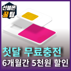 SKT KT LG 무제한요금제 6만원무료충전 선불폰꿀팁 선불유심 선불폰개통 유심기변 USIM, 1개, LG 무제한 요금제, 30일