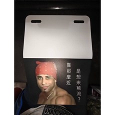 Gogoro 擋泥板 直噴設計 適用車牌較低車款, 全張, 1個, 1片