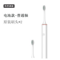 HYLSS 電動牙刷 軟毛聲波 USB充電成人深層潔牙, 1個, 如圖所示5315, N100白色2刷