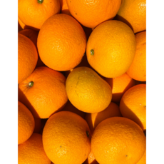 [산지직송] 제주 토종 자몽 팔삭 팔삭귤, 1박스, 팔삭 3kg (사이즈 혼합)