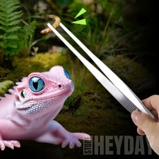 파충류 먹이급여 핀셋 스테인리스핀셋, 실버, 1개