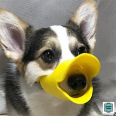 강아지 입마개 강아지오리입마개, 대