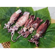 먹부장 통찜으로 좋은 총알한치, 2개, 500g