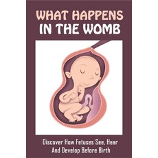 (영문도서) What Happens In The Womb: Discover How Fetuses See Hear And Develop Before Birth: Human Embr... Paperback, Independently Published