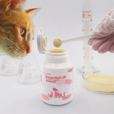 백세가족 고양이 종합 면역 영양제 엘라이신 타우린 초유 락토페린 오메가3 코큐텐 베타글루칸 비타민 허피스, Essential Up, 1박스