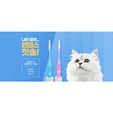 원헬스 고양이전용 초소형 칫솔 치약 입냄새 치주염 치아관리, 반려동물 칫솔(소형), 1개