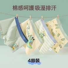 DFMEI 男童內褲
