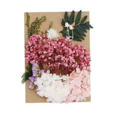 shangren 1Bag 말린 꽃 DIY 스크랩북 공예에 대 한 건조 수지 공예 보석, 5-12CM, 분홍