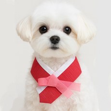 하니펫 반려동물 귀요미스카프 백설 한복 스카프, 레드, 1개