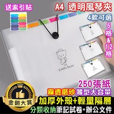 Color me 透明風琴夾 A4 分類收納文件夾, 1個, 5格小熊