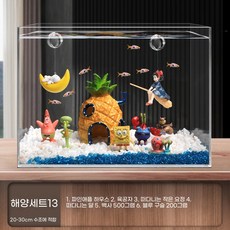 파인애플 하우스 어항 조경 풀세트 인형 장식, 패키지 13