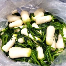 농사친구 강원도 고랭지 절임 알타리 알타리무 국산 세척 절인, 1개, 5KG