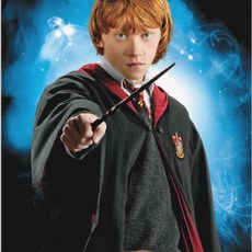 해리포터 클래식 영화 호그와트 페인팅 크로스 아트 퍼즐 모자이크 자수 홈 데코 신상품, 1개, 10. 16