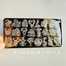 네일 템플릿 만화 캐릭터 스탬핑 플레이트 프렌치 라인 기하학 꽃 잎 동물 이미지 스테인레스 스틸 아트 스텐실, 옵션63) CJT-111, 1개