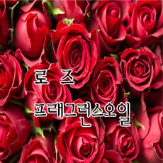 [허니솝] 프래그런스 오일 20ml 50ml 100ml 비누만들기재료 화장품DIY, 05. 로즈f.o x 20ml, 1개