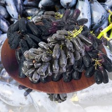 포미식탁 고당도 블랙 가지 사파이어 포도 1kg, 없음