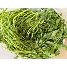 국내산 미나리, 1kg, 1박스