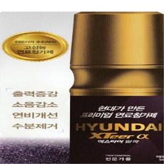 현대엑스티어알파 전문가용 휘발유 (출력증강 소음감소 연비개선 부식방지효과 마찰저감효과 수분제거효과) 고성능연료첨가제 xteer, 1개, 가솔린/휘발유