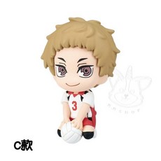 M.M小舖 T-ARTS 轉蛋 扭蛋 排球少年公仔吊飾 音駒高校模型 全4款, 1個, C款/夜久衛輔1C142