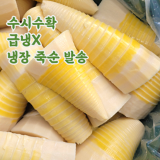 국산 삶은 죽순, 1박스, 2kg