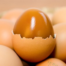 청춘팔도 무항생제 초란 구운 계란, 1개, 30구