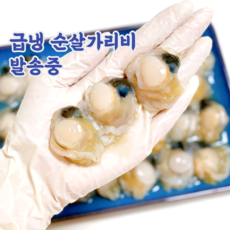 산지직송 국산 순살 깐 세척 가리비 홍가리비, 1개, 400g