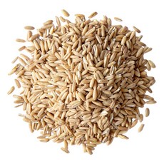 大台南五穀糧倉 澳洲燕麥粒600g (1斤) - 燕麥粥/燕麥飯/膳食纖維, 600g, 1