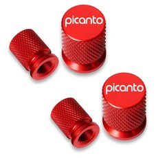 자동차 휠 타이어 밸브 캡 스템 커버 방수 피칸토용, 13. Picanto-11, 1개