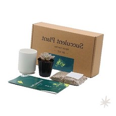 실내 다육 식물 재배 키트 화분 배양토 세트 원예 체험 취미 생활 힐링 아이템, 1개, 매직잼