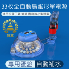 全自動蘆丁雞孵化器，110V台灣電壓，飛碟造型，訂製款飼養箱，電子發票快速出貨, 1個, 孵蛋器33孔