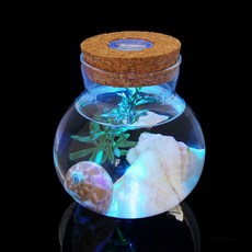 토리샵 새우 모스볼 미니 마리모 키우기 LED 어항 10x11cm