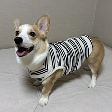 도기스타 웰시코기옷 신축좋은 포시즌 티셔츠, 아이보리바탕, 1개