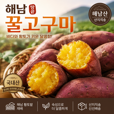 [산지직송] 해남 숙성 꿀고구마 (세척완료), 1박스, 3kg 중