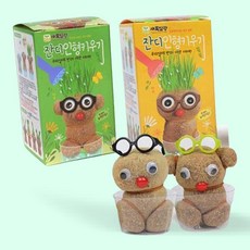 잔디 인형 키우기 식물재배 세트 관찰학습 체험용 학습완구 초등 교구, 1개