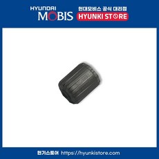 순정 타이어 공기주입구 캡 밸브 은색 (52937A5000), 1개